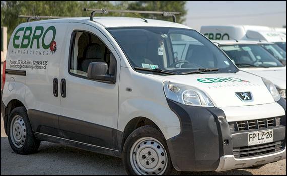 Control de Plagas y Fumigaciones en Bulnes