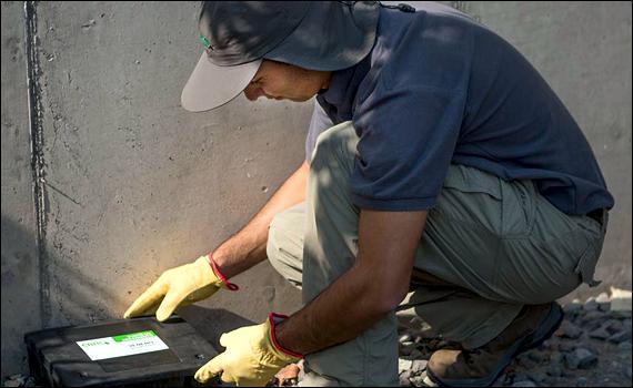 Control de Plagas y Fumigaciones en Chillán Viejo