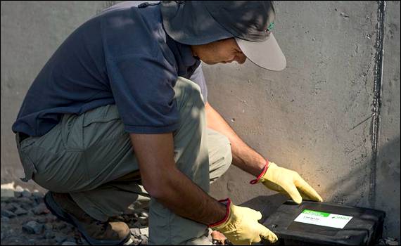 Control de Plagas y Fumigaciones en Coihueco